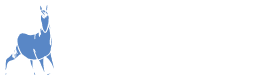 Wild and Free