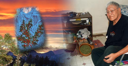 Shelby's interpretation of Sweet Pine in pastel on the left and ceremonialist Harrison Wolf Child sitting by his altar and his dish of Alpine Fir needles on the right.